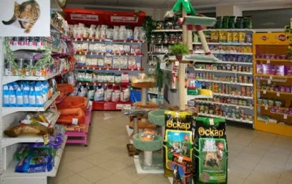 Як відкрити зоомагазин з нуля що потрібно і скільки це коштує (зоомагазин) Як відкрити зоомагазин з нуля що потрібно і скільки це коштує