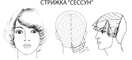 Стрижка сесон на короткі, середні, довгі волосся (довгі) Стрижка сесон на короткі, середні, довгі волосся