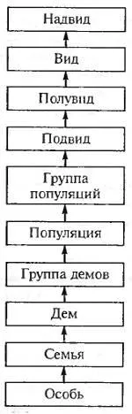 struktúra típus