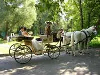 Весілля в Підмосков'ї
