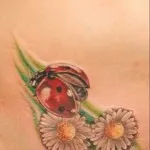 Калинка татуировка 5 стойности на 46 снимки и скици