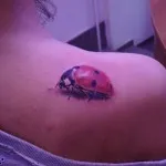 Katicabogár tetoválás 5 érték 46 fotók és vázlatok