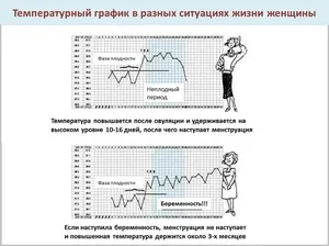 Поддържа график на базалната температура