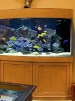 Світло для акваріума