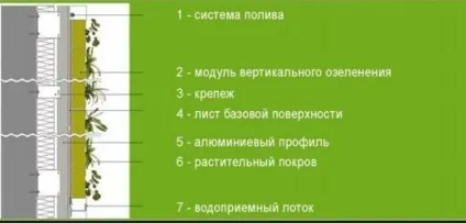 Свіжі бізнес ідеї - вертикальне озеленення в місті і не тільки (бізнес) Свіжі бізнес ідеї - вертикальне озеленення в місті і не тільки