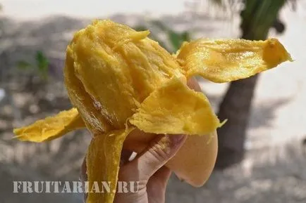 All-totul-totul despre mango