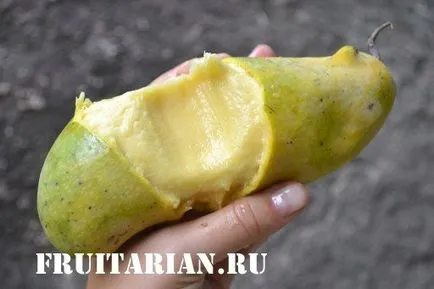 All-totul-totul despre mango