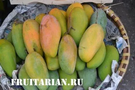 All-totul-totul despre mango