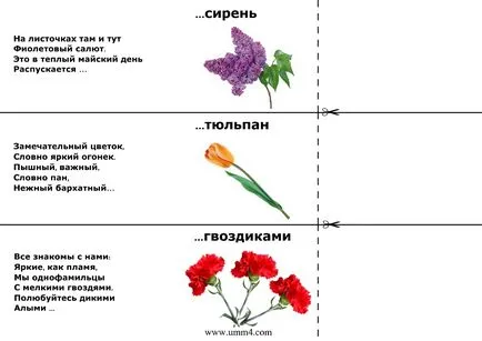 Нарушаването миши серия в контакт