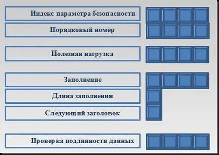 Introducere în studiul politicii IPSec