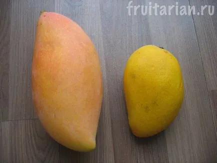 All-totul-totul despre mango