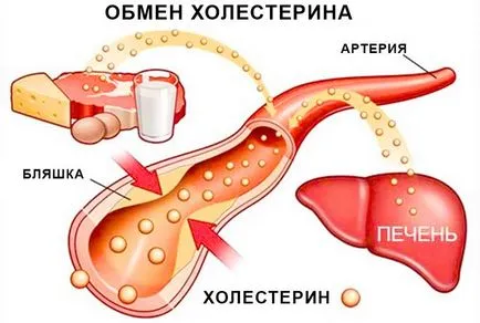 Холестерин і алкоголь
