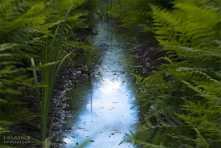 Megjegyzések Koldunov eredeti fotó a lencse Lensbaby 2