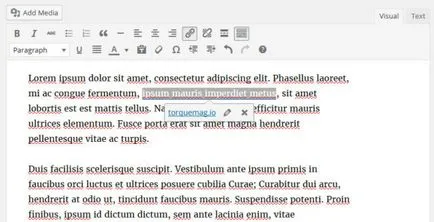 10 într-adevăr util caracteristici WordPress, despre care puțini oameni știu