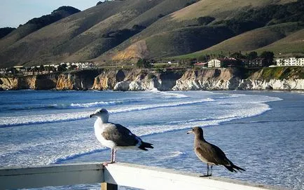 10 cele mai bune plaje din California, în imagini