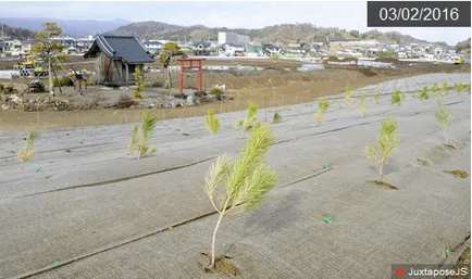 5 év után a nukleáris katasztrófa Japánban megnézi Fukushima űrből (fénykép, videó)