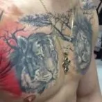 Татуювання тигра значення, ескізи (татуювання) Татуювання тигра значення, ескізи
