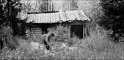 Тайга - мій будинок