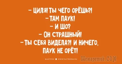 Таки хороші анекдоти з Одеси, шоб ви не сумували через дрібниці (Циля вийшла будинку) Таки хороші анекдоти з Одеси, шоб ви не сумували через дрібниці