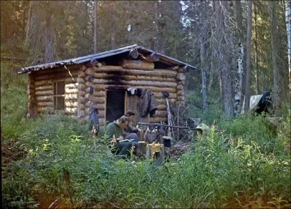 Тайга - мій будинок