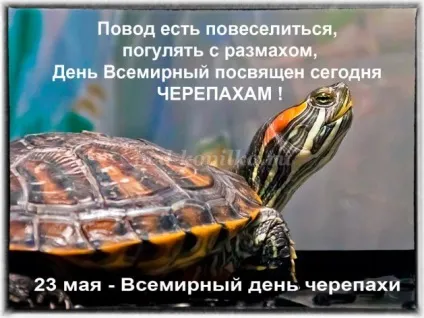 Тематична бесіда для учнів початкової школи з презентацією (випрямити долоні стиснути) Тематична бесіда для учнів початкової школи з презентацією