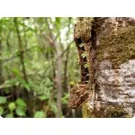 Альбоми - цікаві факти () Альбоми - цікаві факти