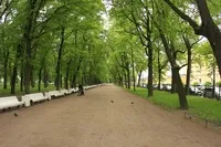 Олександрівський сад