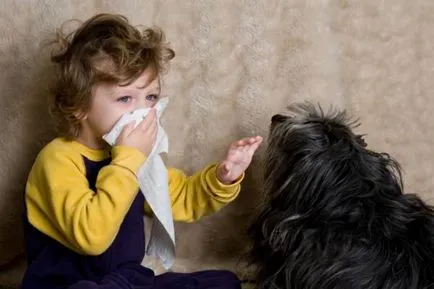 Allergia oltásokkal a gyermekek - oltási és allergia, allergia