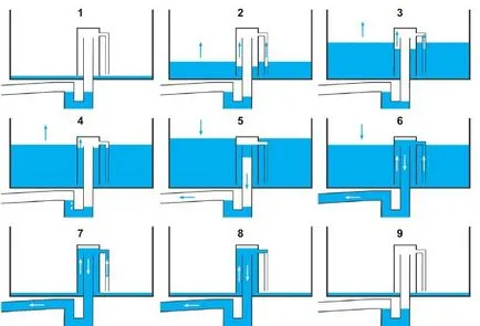 Aquaponics собствените си ръце, използващи кубични контейнери