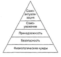 Основните категории на маркетинг нужди, изисквания, търсене