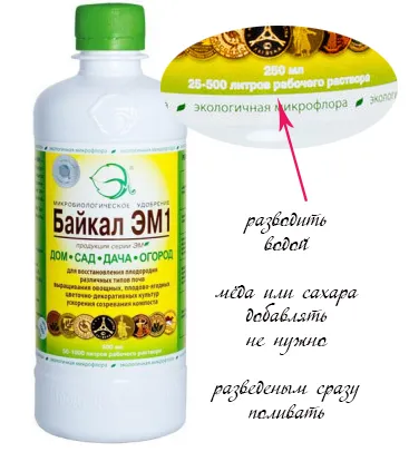 Baikal 1 um mod de utilizare, utilizator, ceea ce face la domiciliu