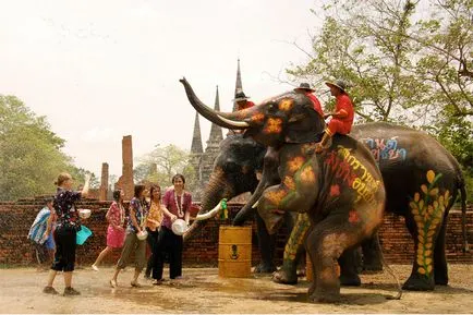 Alb elefant - un animal sacru și simbol al Thailandei, deschide Thailanda ta!