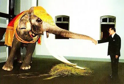 Alb elefant - un animal sacru și simbol al Thailandei, deschide Thailanda ta!