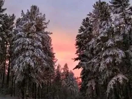 Бял ден защо сте женени, защо сте женен караоке песен