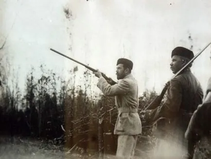 Bialowieza erdő születik