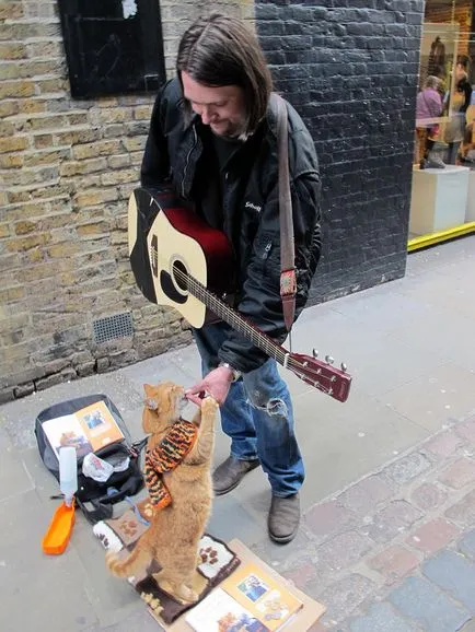 Hajléktalan macska volt a legjobb barátja egy utcai zenész