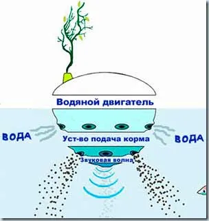 Ideea de afaceri pentru a face bani de reproducție de pește și raci, know-how (know-how), idei, inventii! original