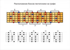 Cutii de pe fretboard, scalele, modurile, poziția