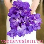 Buchet de Vanda buchet de fotografii de nunta idei de Vanda, ❤️❥ totul pentru nunti