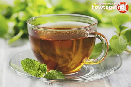 Tea citromfű - előnyök és kárt a szervezetben