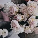 Терпимість до чужої думки - як виробити (чужому) Терпимість до чужої думки - як виробити