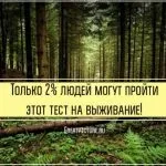 Тест якого кольору ваш інтелект і що це означає (тест) Тест якого кольору ваш інтелект і що це означає