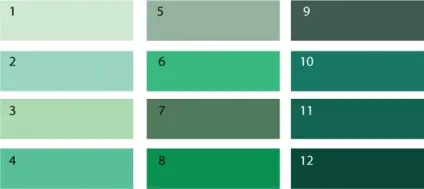 Теплий і холодний зелений колір, lookcolor (холодний) Теплий і холодний зелений колір, lookcolor