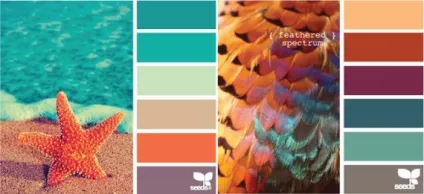 Теплий і холодний зелений колір, lookcolor (теплий) Теплий і холодний зелений колір, lookcolor