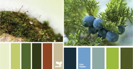 Теплий і холодний зелений колір, lookcolor (холодний) Теплий і холодний зелений колір, lookcolor