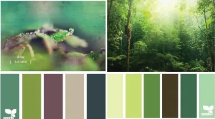 Теплий і холодний зелений колір, lookcolor (холодний) Теплий і холодний зелений колір, lookcolor