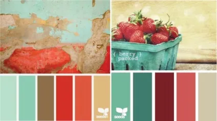 Теплий і холодний зелений колір, lookcolor (холодний) Теплий і холодний зелений колір, lookcolor