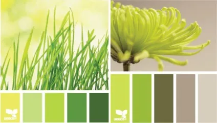 Теплий і холодний зелений колір, lookcolor (холодний) Теплий і холодний зелений колір, lookcolor