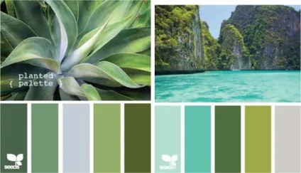 Теплий і холодний зелений колір, lookcolor (холодний) Теплий і холодний зелений колір, lookcolor