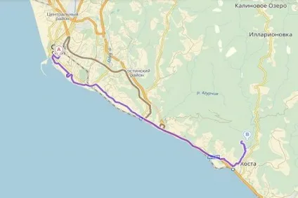 Тисо самшітовая гай як дістатися з Адлера, сочи, самостійно на машині, опис